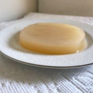 Live organic kombucha SCOBY starter kit